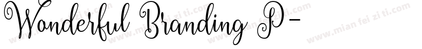 Wonderful Branding P字体转换
